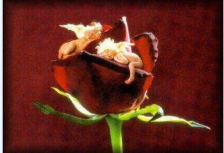 Bb dormands proffondement