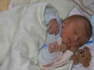 Le nounours meilleur compagnant du bb