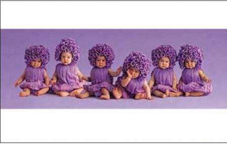 bbs mauves
