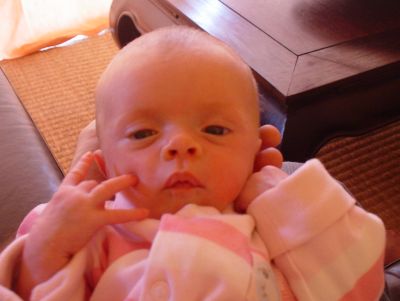 Bb rose