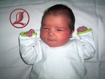 Bb haut les mains