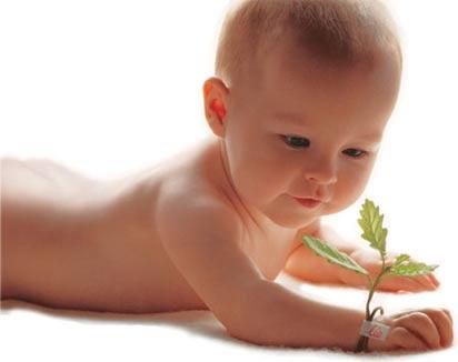 Bb bracelet plante