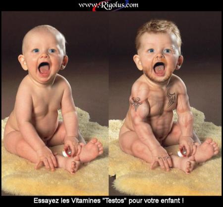 Bb muscl