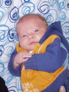 Bb sage